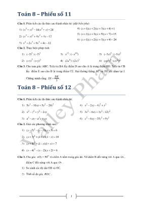 Toán 8  Phiếu bài tập số 11
